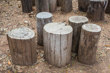 Fototapeta premium The wooden logs for sitting