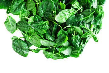 Fresh Spinach leaves close up isolated on white background..