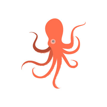 Cartoon octopus monster. Illustration of octopus baby. Octopus cartoon flat style. Cute octopus on white background. Cartoon octopus animal monstrous underwater. Tropical sea life animal octopus sign