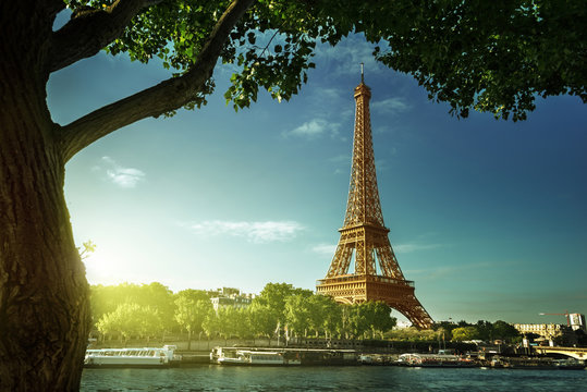 Eiffel tower, Paris. France