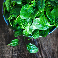 Fresh green spinach in blue bowl on the dark wood background wit