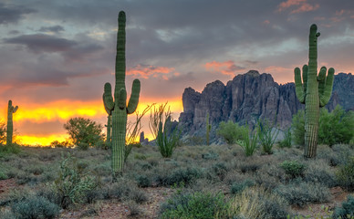 Superstition Sunrise