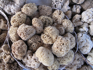 Sea sponge in a wicker basket at the market