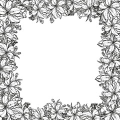 Vintage card with garden flowers. Hand drawn apple tree flowers. Vector illustration blooming branches cherry, pear flower, sakura