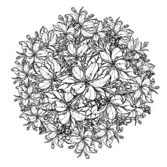 Vintage card with garden flowers. Hand drawn apple tree flowers. Vector illustration blooming branches cherry, pear flower, sakura