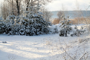 Мороз и солнце  4 © irina_g