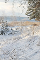 Мороз и солнце #3