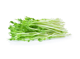 Snow pea sprouts on white background