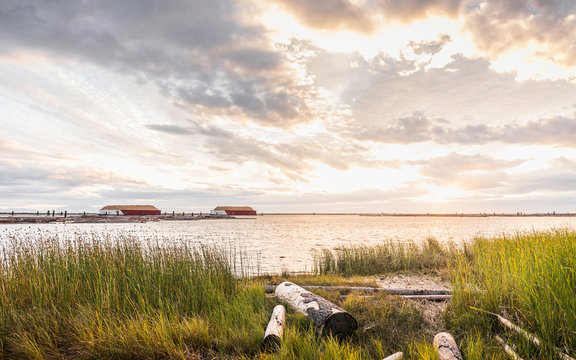 Sunset landscape of logs on Wreck Beach, Vancouver, Canada