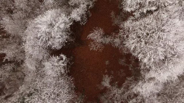 aerial view of frozen forest zooming out