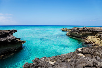 Craggy ironshore  formation limestone rocks at the edge of Smith Cove, Grand Cayman