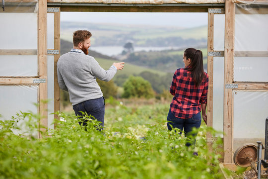 Rear view of couple in polytunnel doorway chatting