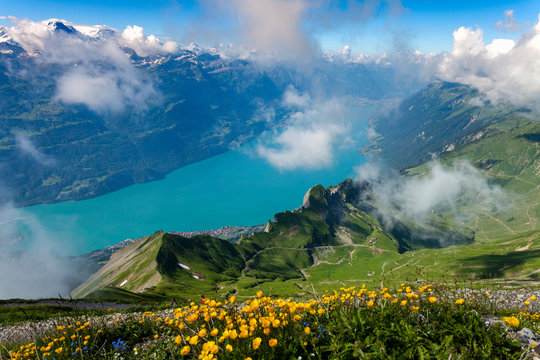 Elevated view of river through valley, Brienzer Rothorn, Bernese Oberland, Switzerland