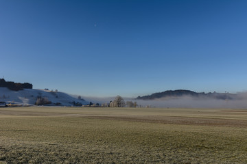Fototapeta na wymiar Nebel in der Natur