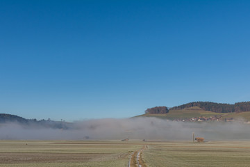 Obraz premium Nebel in der Natur
