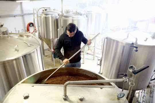 Worker in brewery, mixing barley grains in brew tank