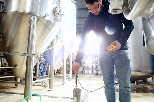 Worker in brewery, checking the temperature of water in brew tank