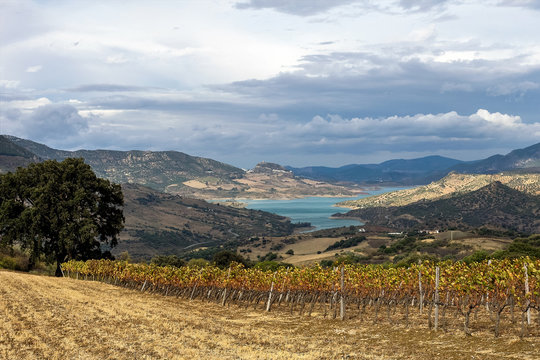 Andalusien - Sierra de Grazalema - Montecorto