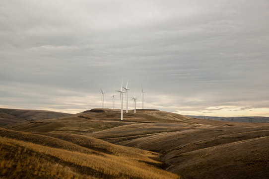 Wind farm on rolling landscape, Condon, Oregon, USA