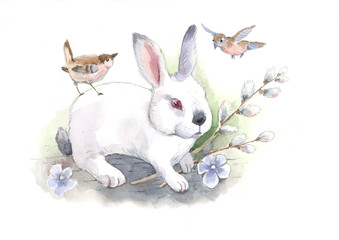 Fototapeta na wymiar rabbit, easter, watercolor