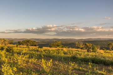 Welgevonden Game Reserve is Located within the Waterberg Mountains in Limpopo South Africa