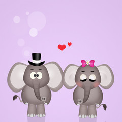 elephants spouses