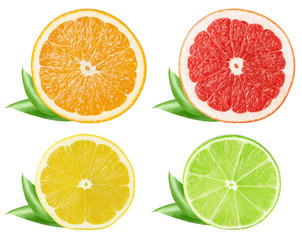 Obraz premium Collection of citrus slices. Orange, grapefruit, lemon, lime fruits isolated on white