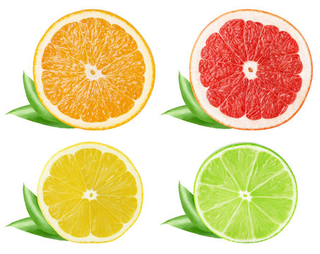 Collection of citrus slices. Orange, grapefruit, lemon, lime fruits isolated on white