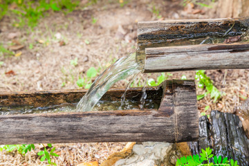 Water line from steps of natural bamboo pipes.