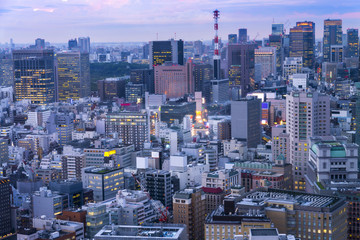 Cityscapes of tokyo in sunset / sun rise, Skyline of Tokyo, offi