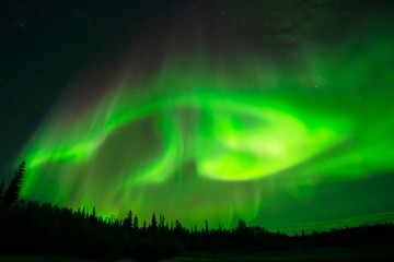 Green Northern Lights - Strong green aurora borealis spreading in starry night sky over a forest. Yellowknife, NWT, Canada.