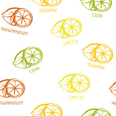 Citrus seamless pattern background. Orange, lemon, grapefruit and lime