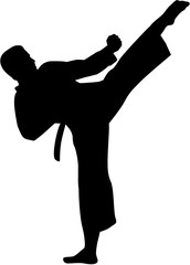 Karate fighter silhouette - obrazy, fototapety, plakaty