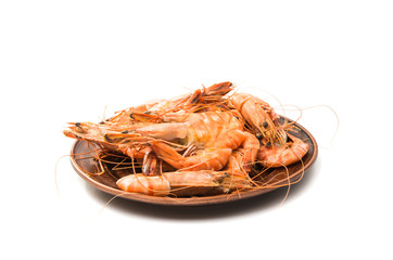 shrimp isolated