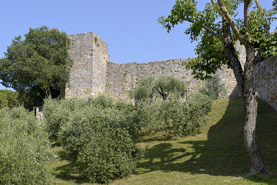 Fortifications among olive trees of San Gimignano is a walled medieval hill town in the province of Siena, Tuscany, north-central Italy