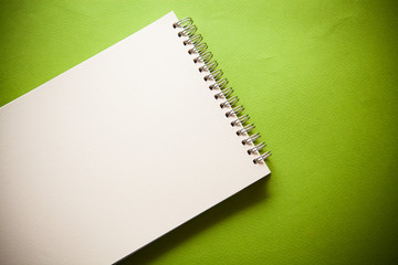 notebook on green background
