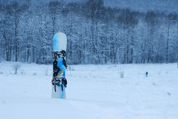 Snowboard standing in the snow on a background of snow-covered f