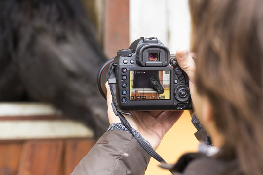 Man taking photographs a horse