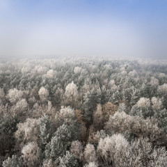 Obraz na płótnie Canvas Aerial view of the winter background with a snow-covered forest