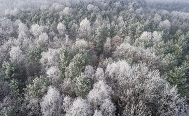 Aerial view of the winter background with a snow-covered forest