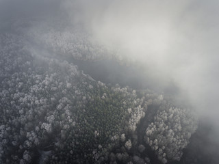 Aerial view of the winter background with a snow-covered forest