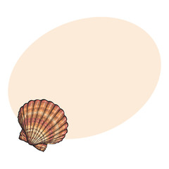 Colorful scallop sea shell, sketch style vector illustration isolated on background with place for text. Realistic hand drawing of saltwater scallop seashell, clam, conch