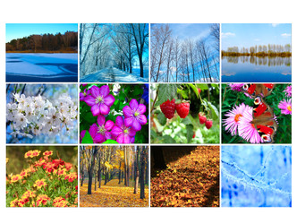 Naklejka premium blank with twelve colored images of nature for calendar
