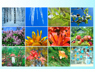 blank with twelve colored images of nature for calendar