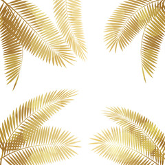 Fototapeta na wymiar Palm Leaf Vector Illustration