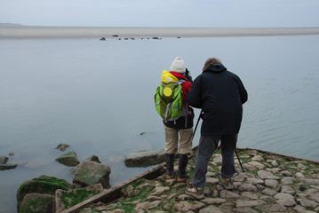 Photographie animalière © Ariane Citron