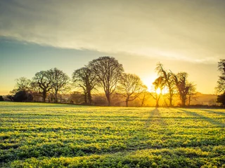 Foto op Canvas Countryside winter  morning sunrise,Northern Ireland © M-image