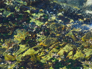 Green Point, Western Cape, South Africa