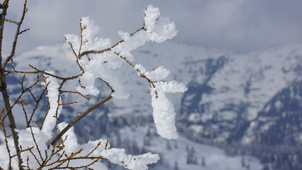 steile felsen und gipfel in den Alpen in Tirol