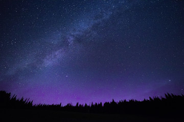Ciel nocturne bleu foncé avec des étoiles au-dessus des arbres.